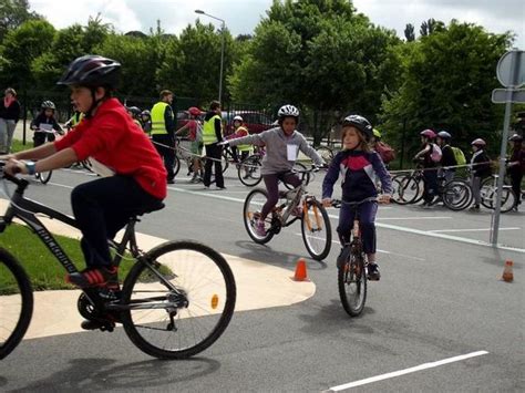 Le Permis Cycliste Pour Cent Quinze Coliers Avermes