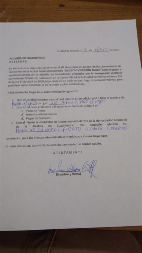 Carta Bajo Protesta de Decir Verdad y Solicitud de Ingreso a la Acción