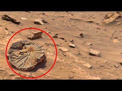 NASA S Mars Perseverance Rover New Video Footages Mars In 4k