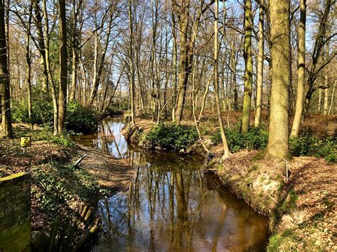 The River Dommel In The Grounds Of Castle Heeze Sylvia Okkerse Flickr