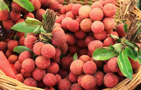 Amazing Benefits Of Litchi Lychees For Skin Hair And Health