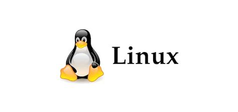 Entenda Melhor O Que O Sistema Operacional Linux Transforme Seu