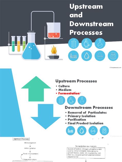 Upstream And Downstream Processes Pdf Protein Purification