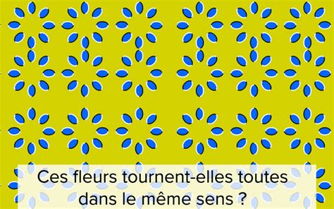 Photos Top Des Illusions D Optique Les Plus Surprenantes