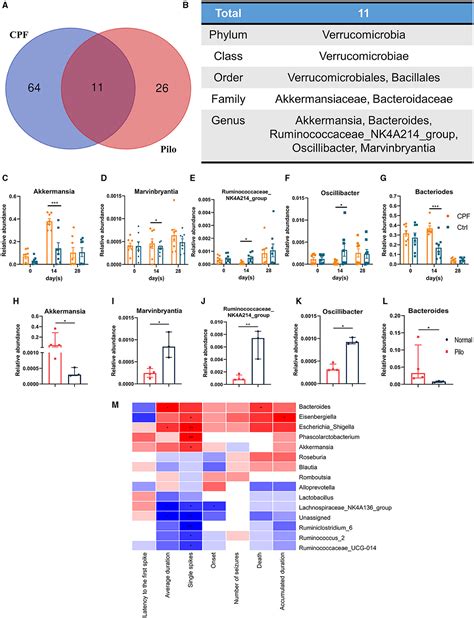 Frontiers Gut Microbiota And Serum Metabolomic Alterations In