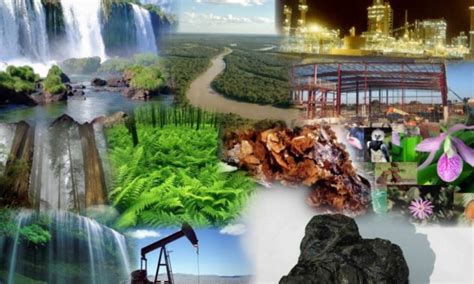 ¿valoración Económica Ambiental Instrumento Para La Conservación Del