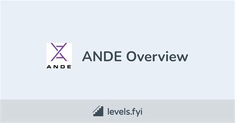ande careers levelsfyi