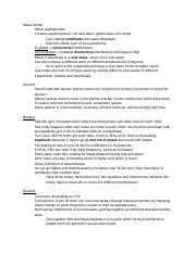 PHYS 122 Lab 9 Waves 2 Docx Wave Model Wave Superposition 2