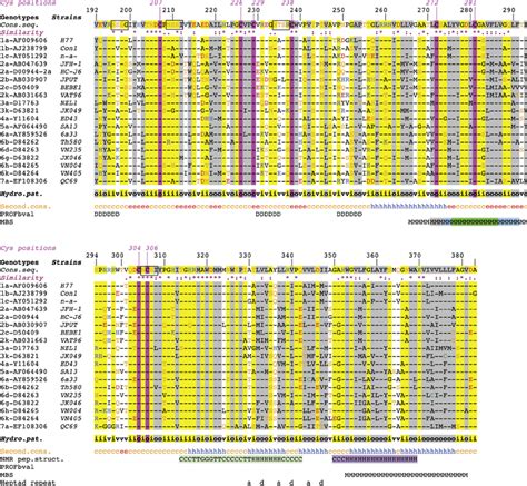 Sequence Variability Cysteine Residue Conservation And Structural Download Scientific Diagram