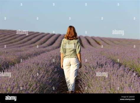 Girl Walking Through Field Hi Res Stock Photography And Images Alamy
