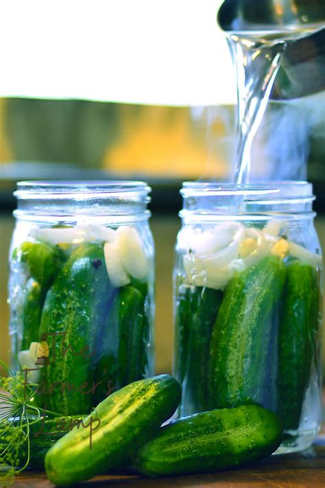 Easy Cucumber Canning Recipes