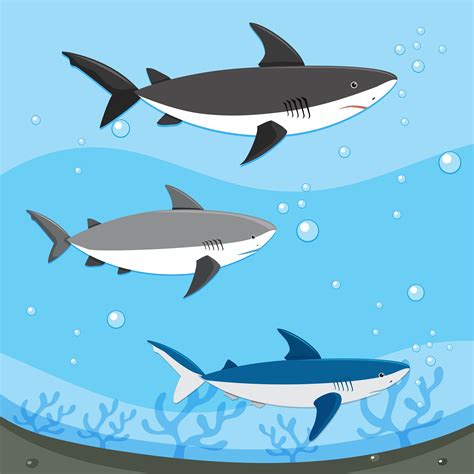 Diffrent Sharks Swimming Underwater 295388 Vector Art at Vecteezy