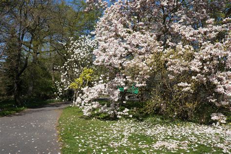 Impressionen aus dem Botanischen Garten der Universität Leipzig