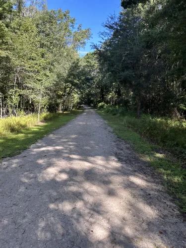 2023 Best Walking Trails In Conway AllTrails