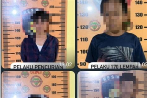 Polres Mamuju Tangkap Pencuri Spesialis Rumah Kosong Antara News