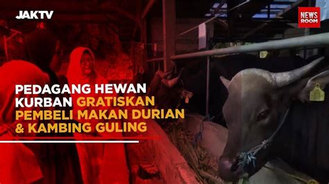 Pedagang Hewan Kurban Gratiskan Pembeli Makan Durian Kambing Guling