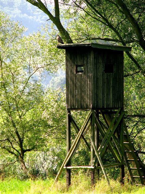 Free Images Forest View Building Shed Hut Shack Green Jungle