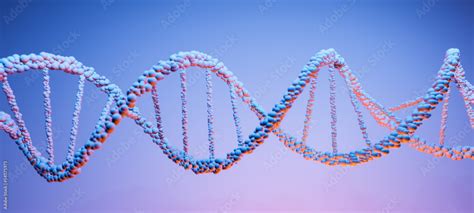 Dna Deoxyribonucleic Acid Structure Of Double Helix Molecule