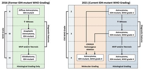 Astrocytoma Grading R Braincancer