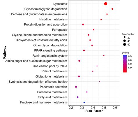 Figure 3 From Comparative Transcriptomic Analysis Of In Situ And