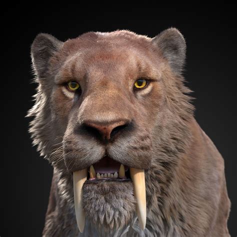 Smilodon By Oxpecker On Deviantart Artofit