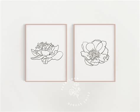 Satz Von 2 Blume Linie Kunst Poster Botanische Single Line Art Floral