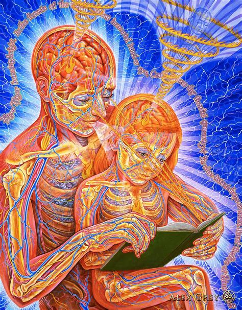 Paintings Of Alex Grey High Res Album On Imgur