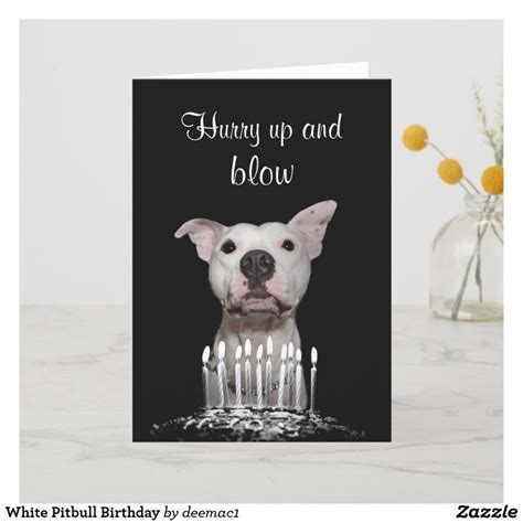 White Pitbull Birthday Card White Pitbull Dog Lovers