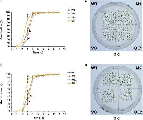 Frontiers R2r3 Myb Transcription Factor Ntmyb330 Regulates