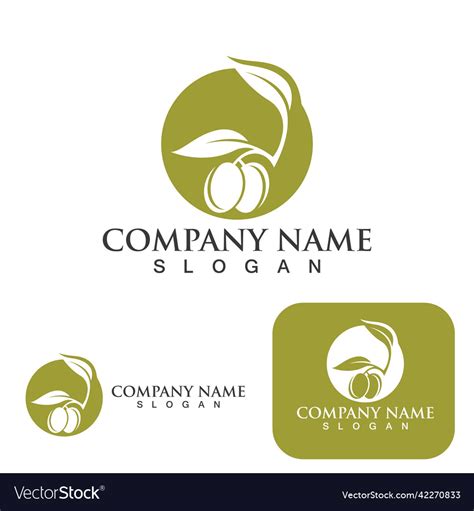 Olive tree Royalty Free Vector Image - VectorStock