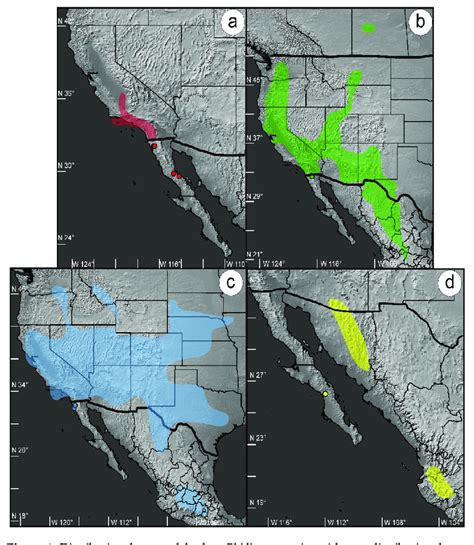 Distributional Maps Of The Four Phidippus Species With New