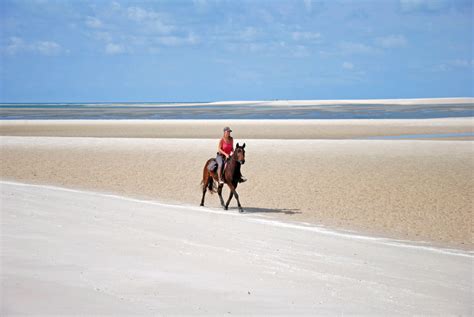 Benguerra Island | Horse Volunteer Africa