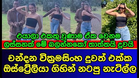 චනදන වකරමසහ ඔසටරලය ගහන දවත එකක නටප නටලල