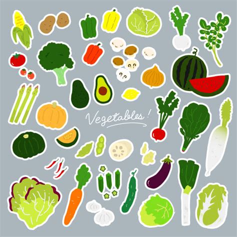 Kopfsalat Salat Illustrationen Und Vektorgrafiken Istock