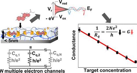 Introducing Nanoscale Electrochemistry In Small Molecule Detection For