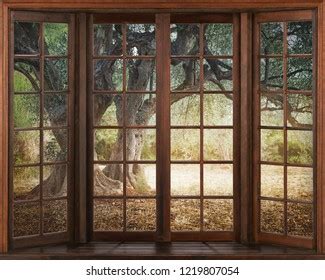 D Window View Wallpaper Images Stock Photos D Objects