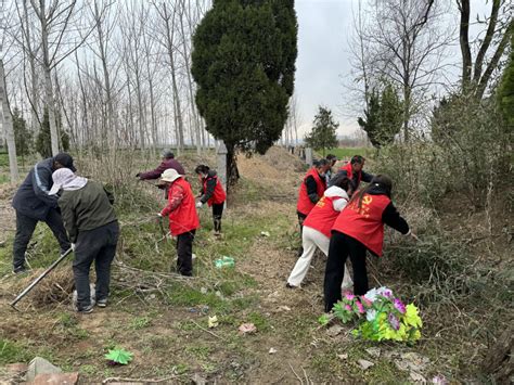 杜集区高岳街道：移风易俗过清明 文明祭扫树新风杜集区人民政府