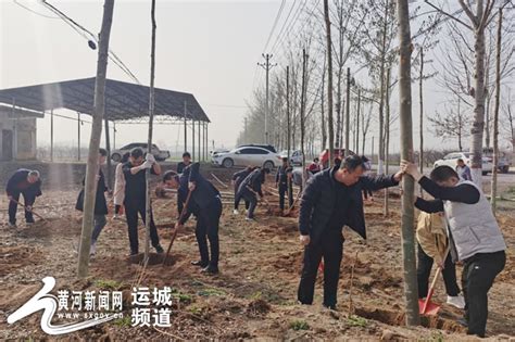 盐湖区冯村乡：扛着铁锹，拿着树苗，一起植树去 黄河新闻网