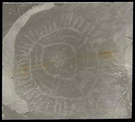 petroglyph possibly  diagram  hut construction objects emuseum