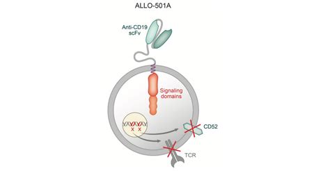 Allogene Launches First Allogeneic Car T Phase Ii Trial Adc Technologies