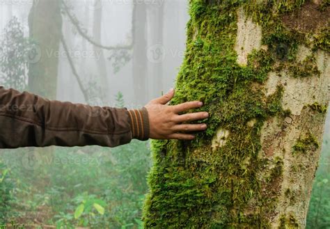 People And Nature Connection Concept Stock Photo At Vecteezy