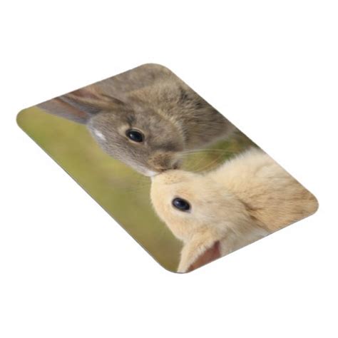 Two bunnies kissing rectangle magnet | Zazzle