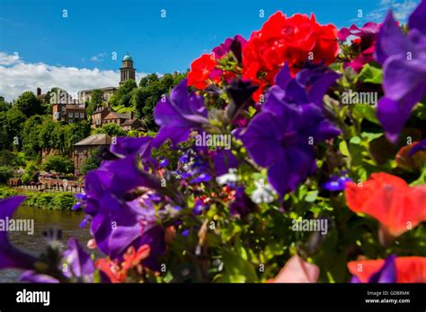 Judging Flowers Hi Res Stock Photography And Images Alamy