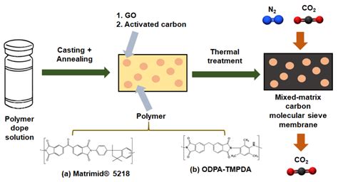 Membranes Free Full Text Carbon Molecular Sieve Membranes Comprising Graphene Oxides And