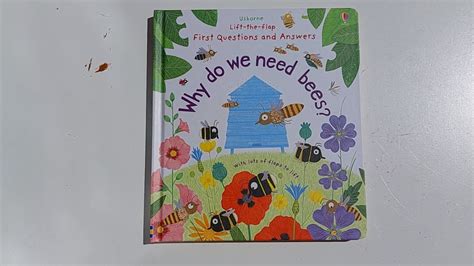 Why Do We Need Bees Usborne Books Youtube