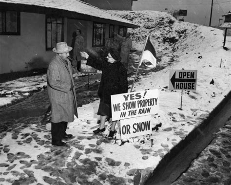 la looked    snowed    century lost la