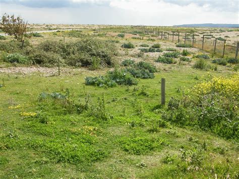 Rye Harbour Nr Sussex Steven Falk Flickr