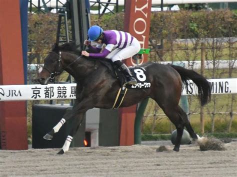 【根岸s枠順確定】エンペラーワケアは4枠7番、サンライズフレイムは5枠10番 競馬ニュース Netkeiba