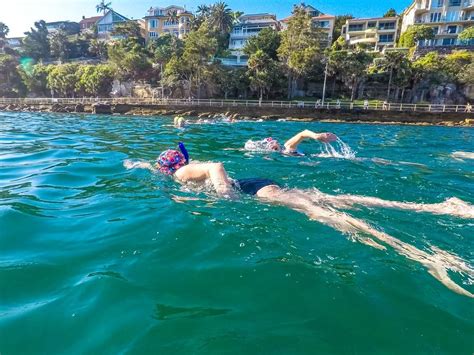 How to start ocean swimming | All you need to know to start today