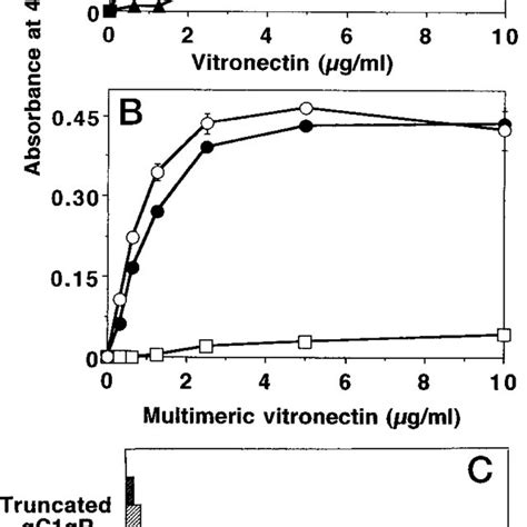 Binding Of Multimeric Vitronectin To GC1qR A Microtiter Wells Were